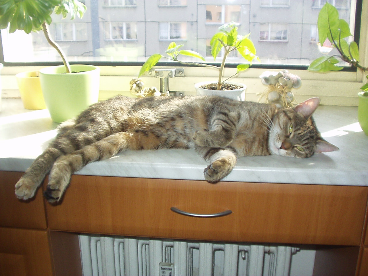 P1010073.JPG