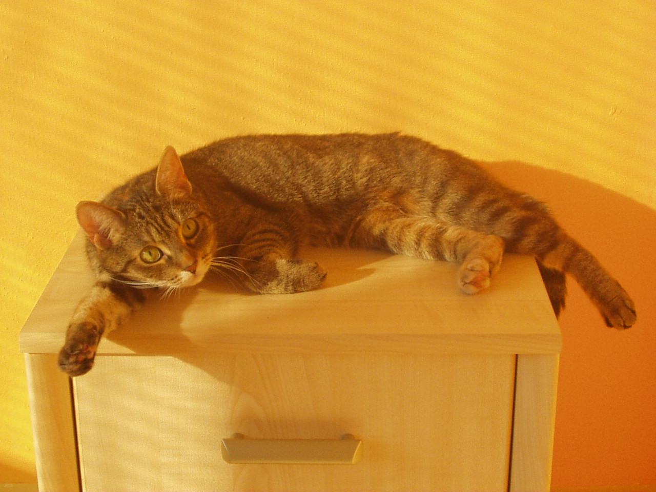 P1010115.JPG